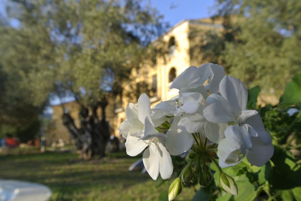 Maset Del Garraf Pension Olesa de Bonesvalls Buitenkant foto